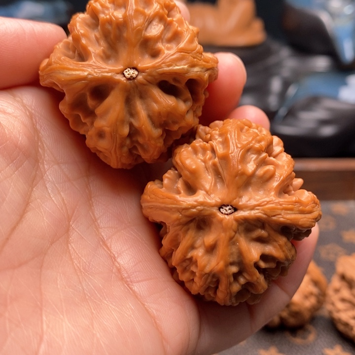 文玩核桃把件毕业红锦鲤42尺