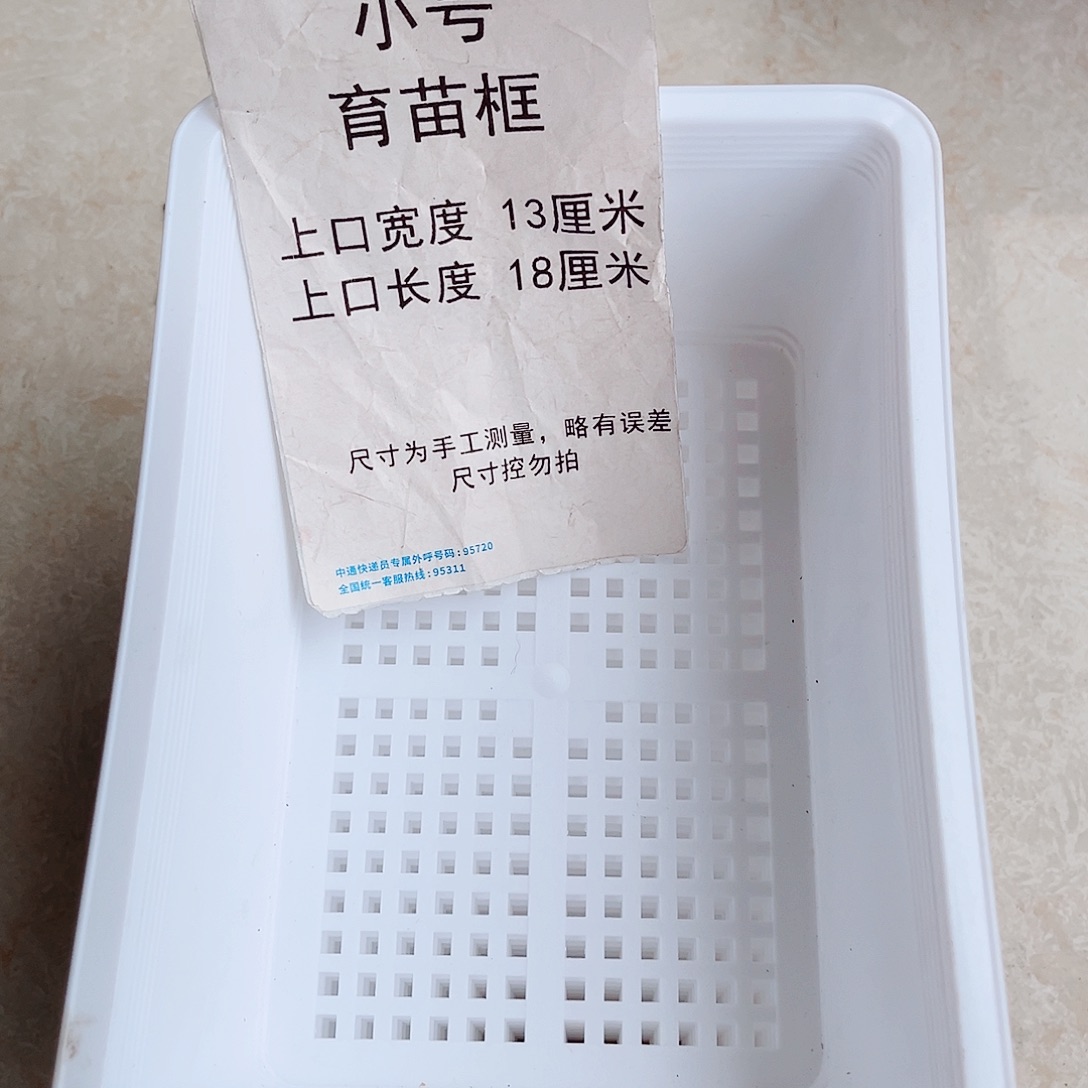 塑料小号育苗框白色10个