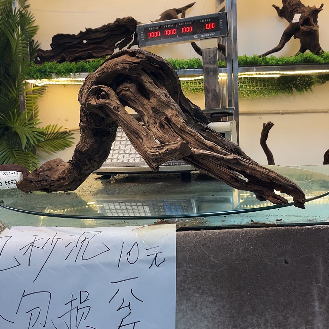 辉***柚木沉木鱼缸造景