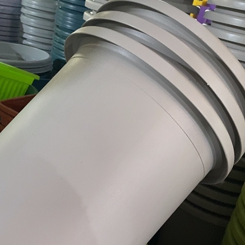 树脂四季7号灰白无托6个