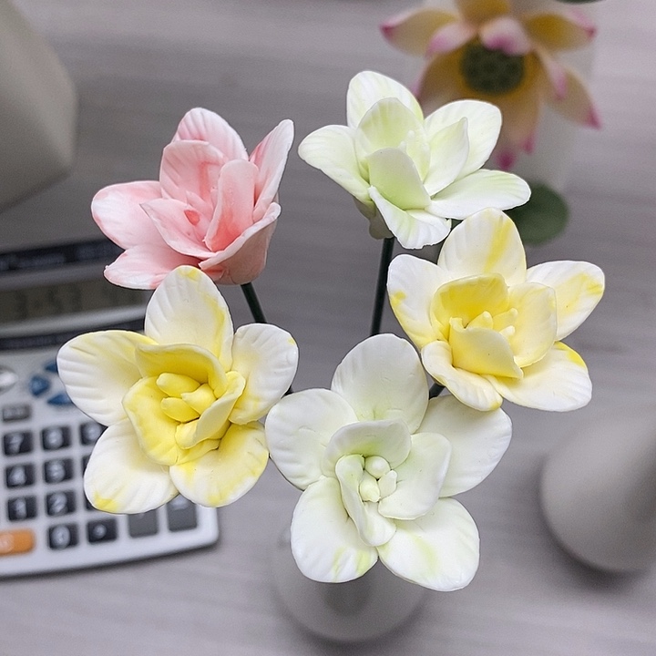 陶瓷陶瓷材料素烧