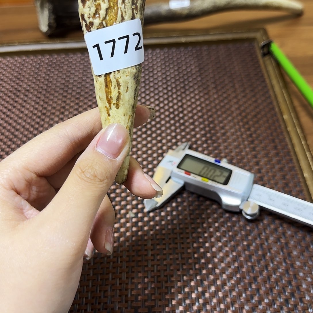 手串/手链鹿骨1772 角尖