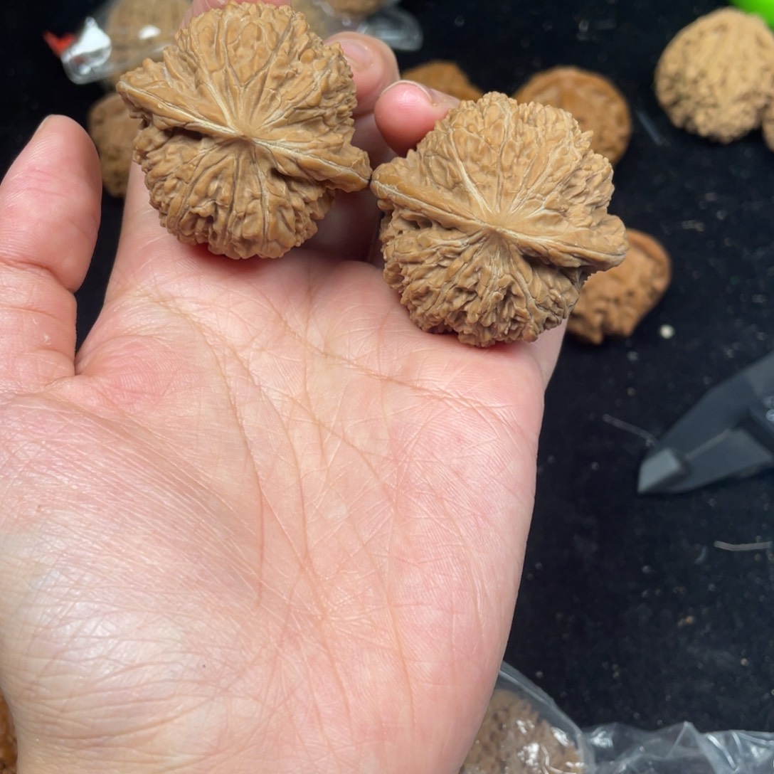 文玩核桃把件41尺137核桃