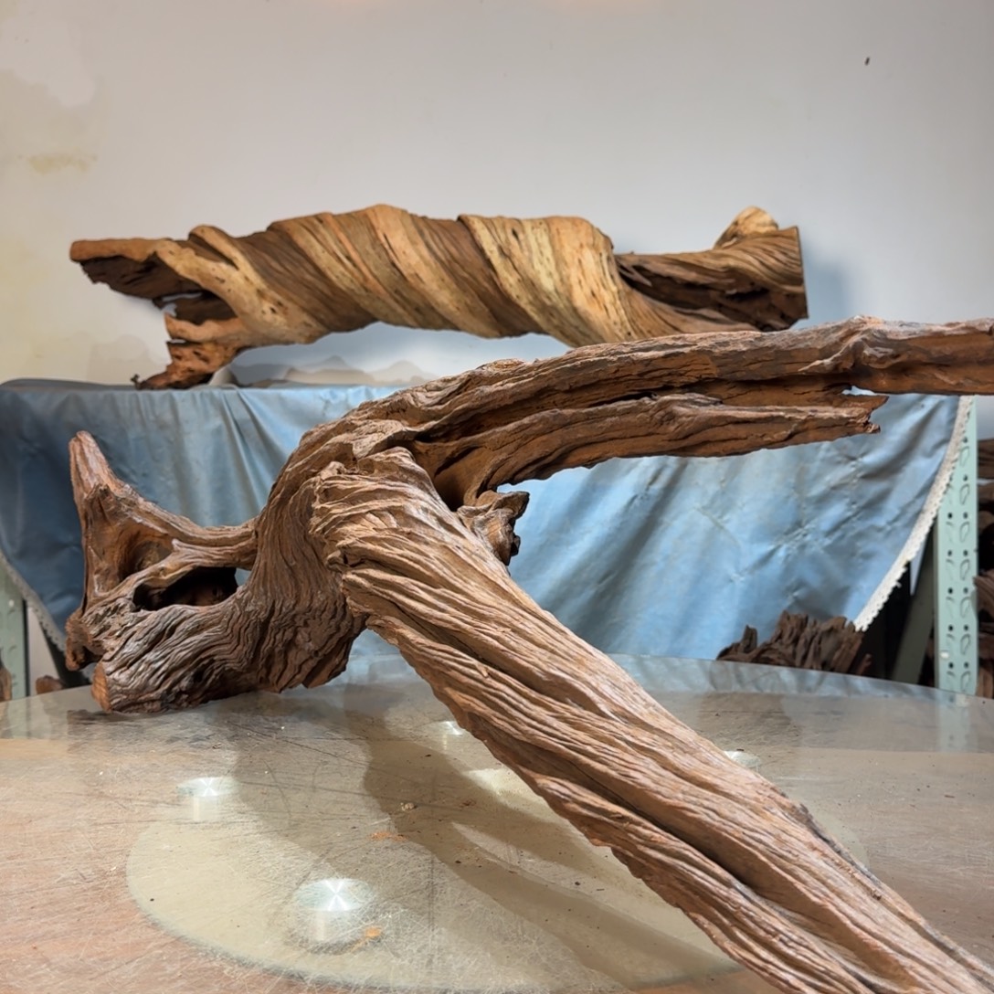 大***菜沉木一物一拍造景