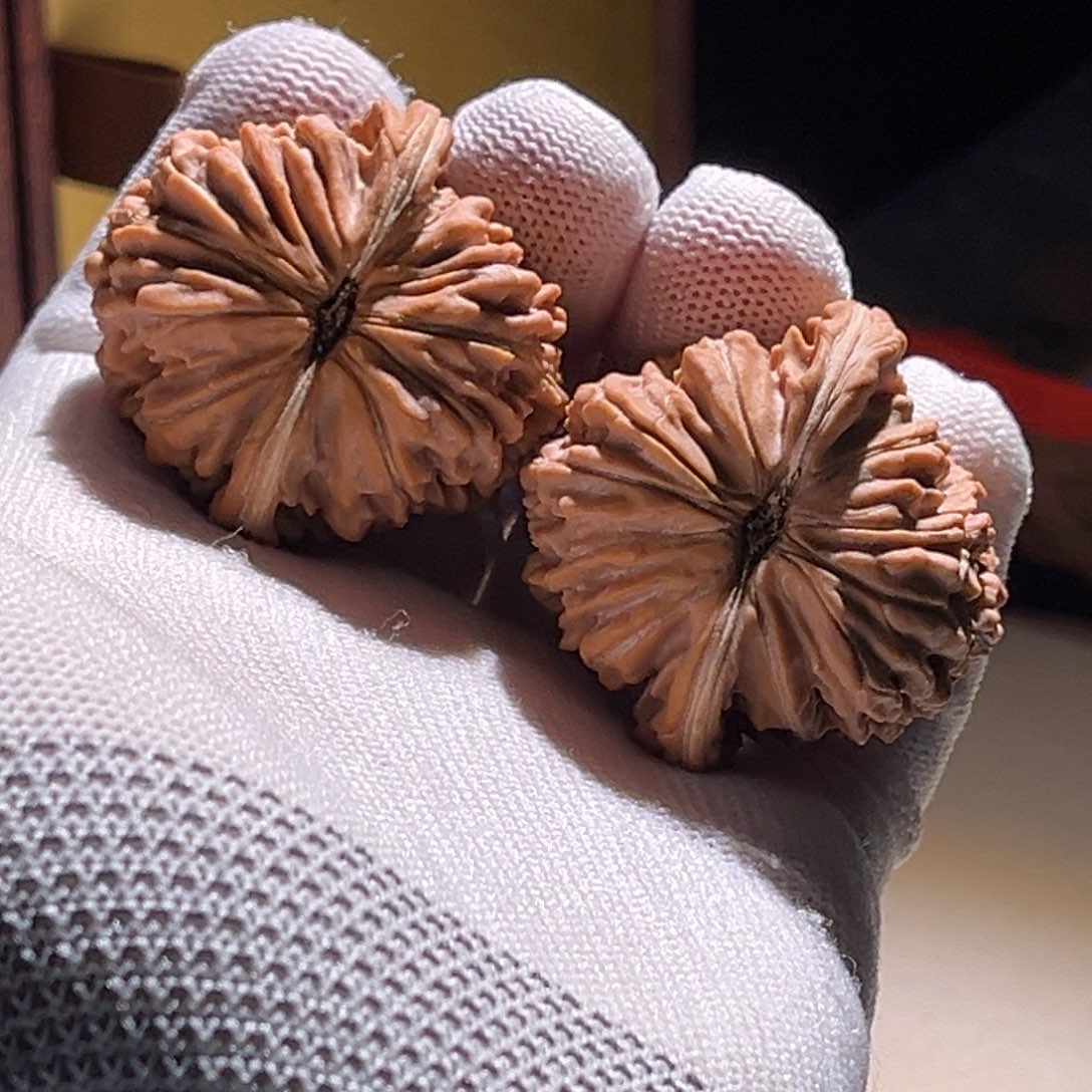 九***皇全品 42全品楼子 
