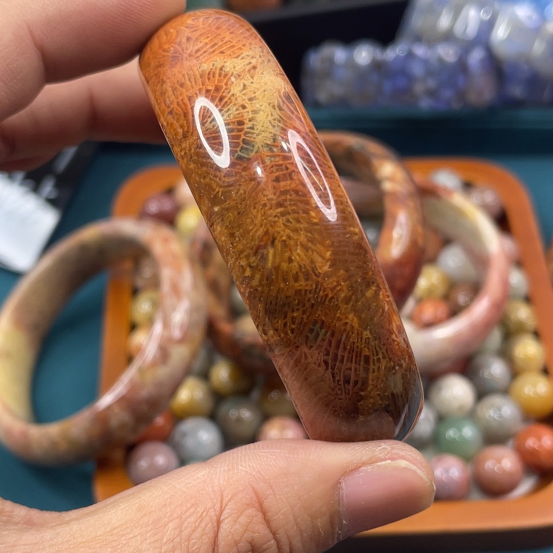 未镶嵌手镯硅化玉