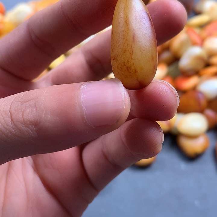 和田玉（子料）未镶嵌珠宝半成品