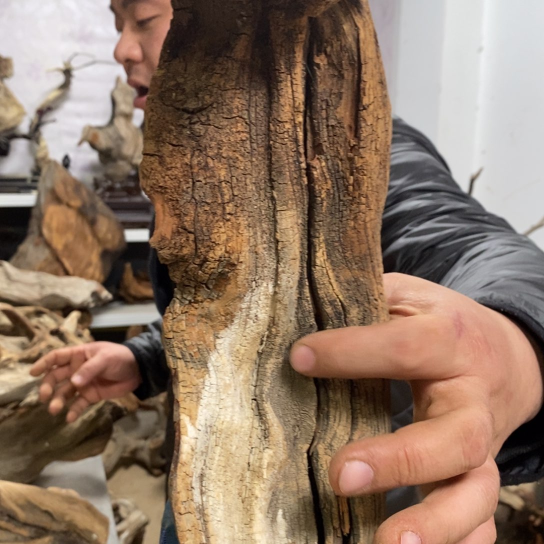 柏木蛇**转我们都是好孩子