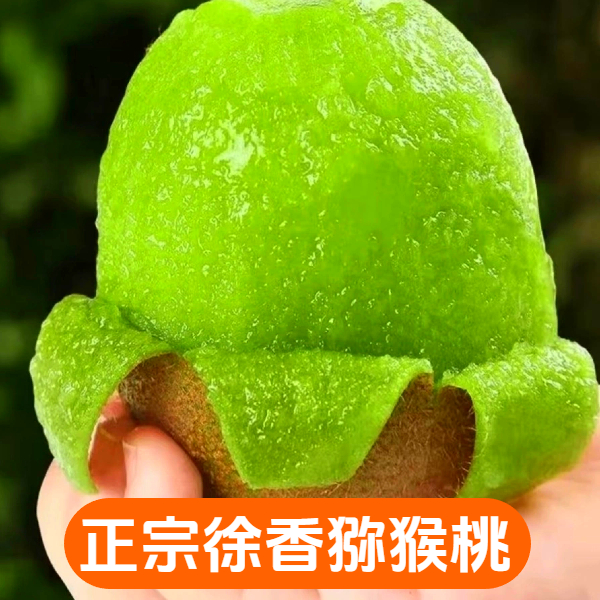 陕西眉县徐香猕猴桃应季新鲜水果软糯可口绿心奇异果XGZ