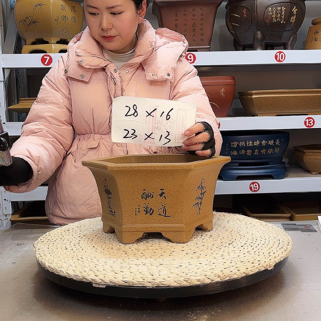 紫砂花盆紫砂花盆