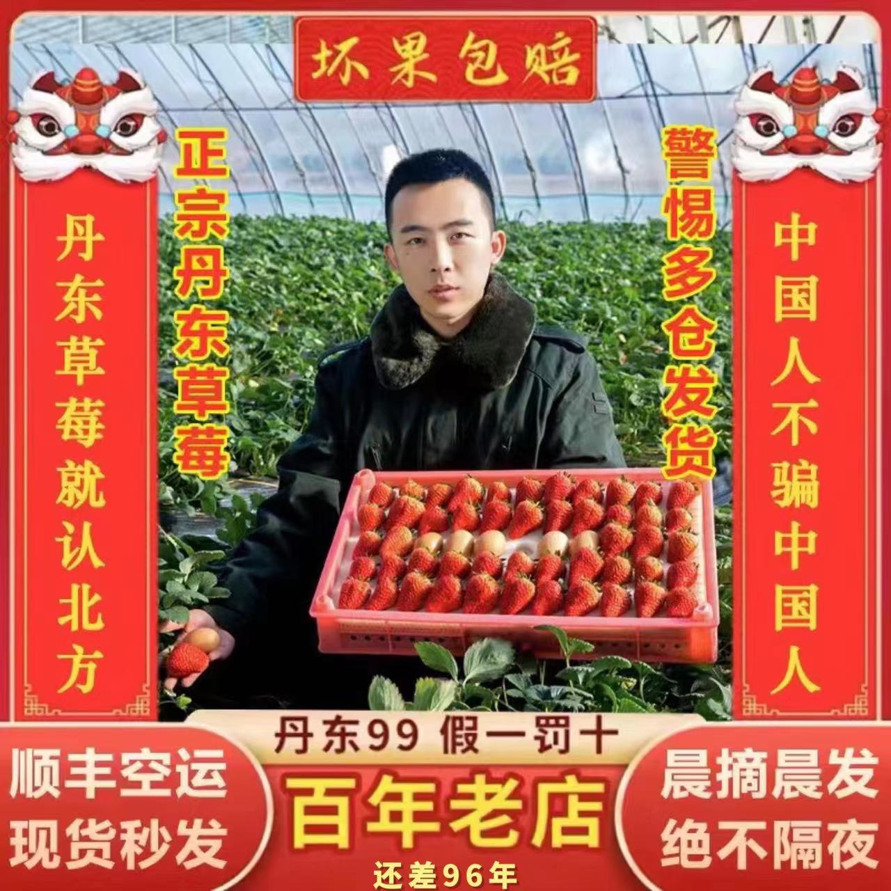 【正宗丹东99草莓现货秒发】当天现摘牛奶草莓红颜新鲜应季空运包邮