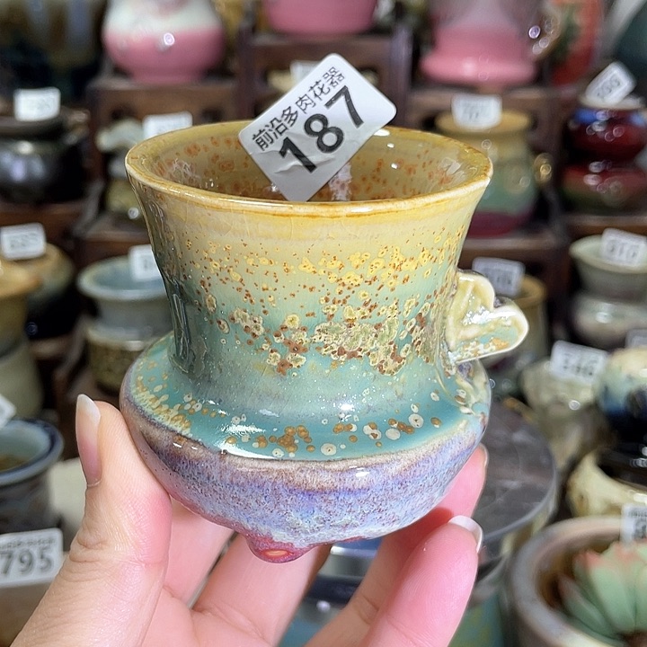 红陶内口径6高度7