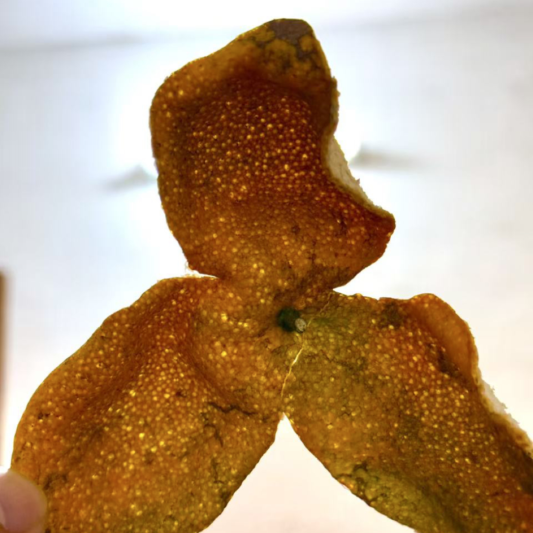 2025年纯天然晒茶枝柑中小红皮，老树陈皮