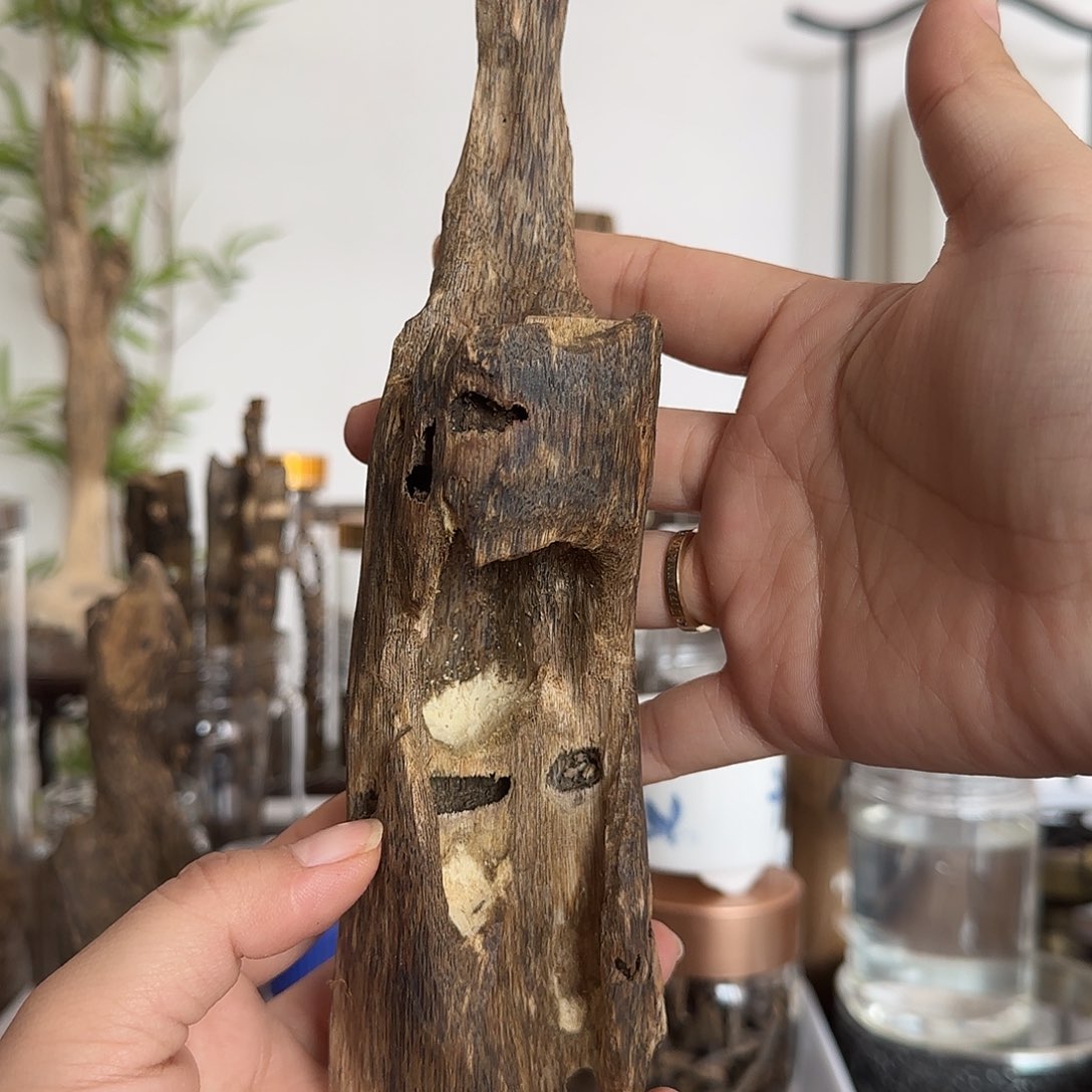 沉香沉香碎屑精品虫漏66克