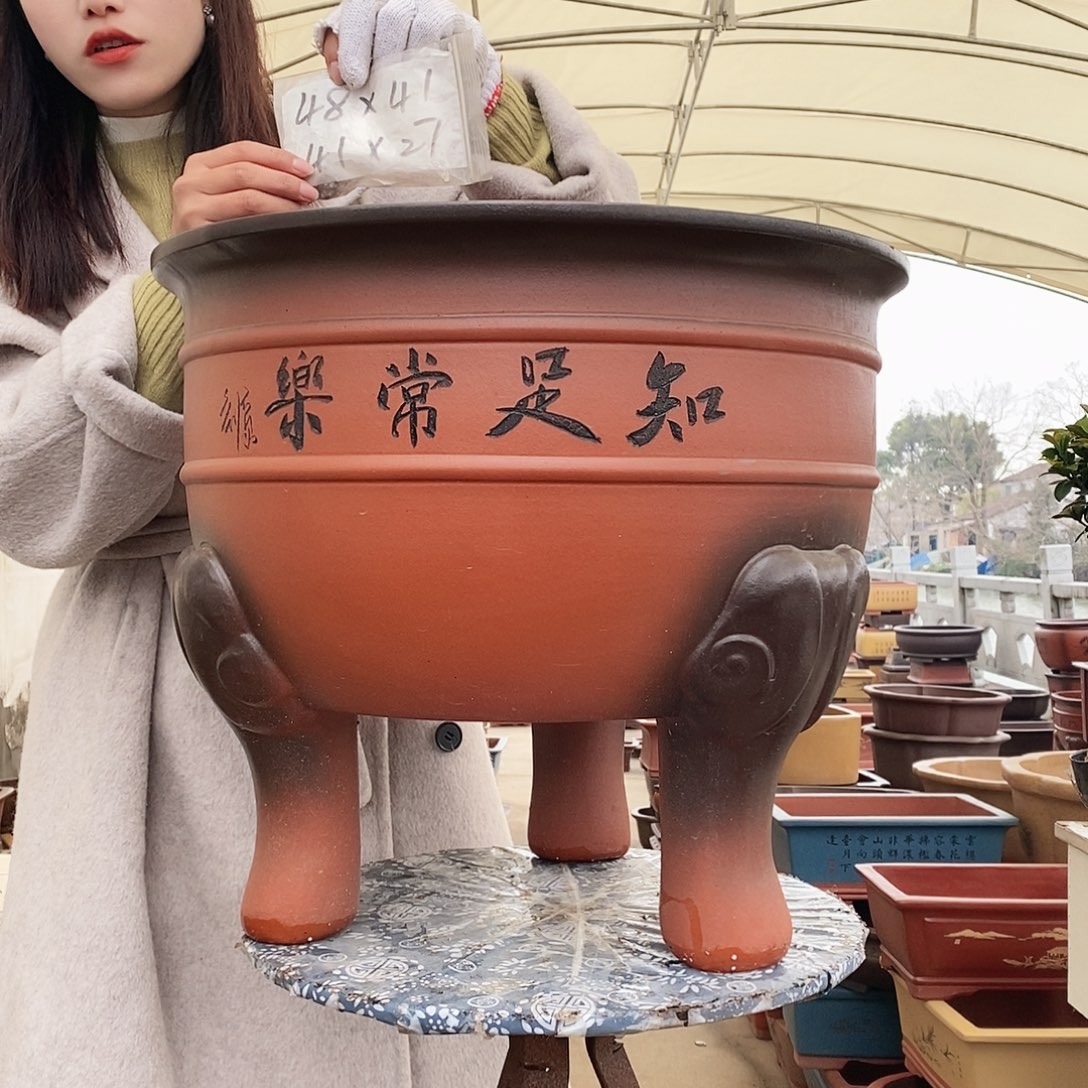 紫砂花盆紫砂花盆