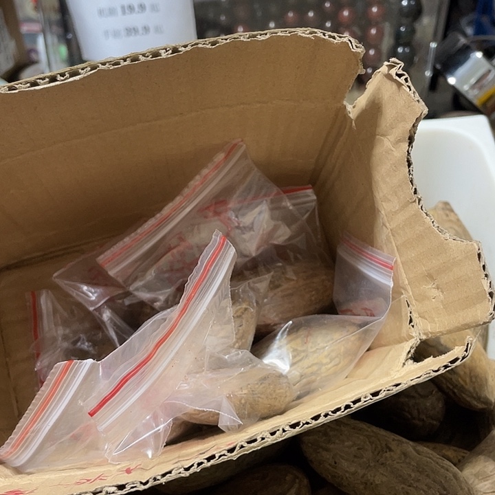 ****霜千眼菩提把件天然千眼菩提不退不换