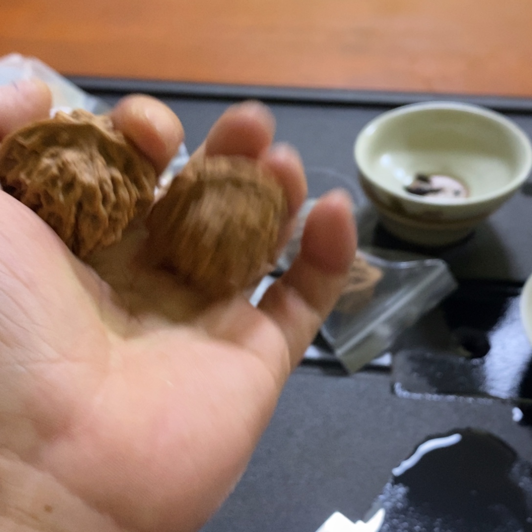 秦岭森林中发现过几