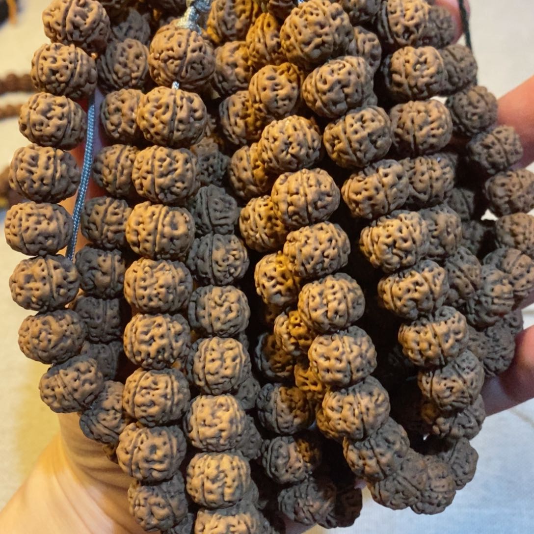 金刚菩提手串物里达老树王13尺寸