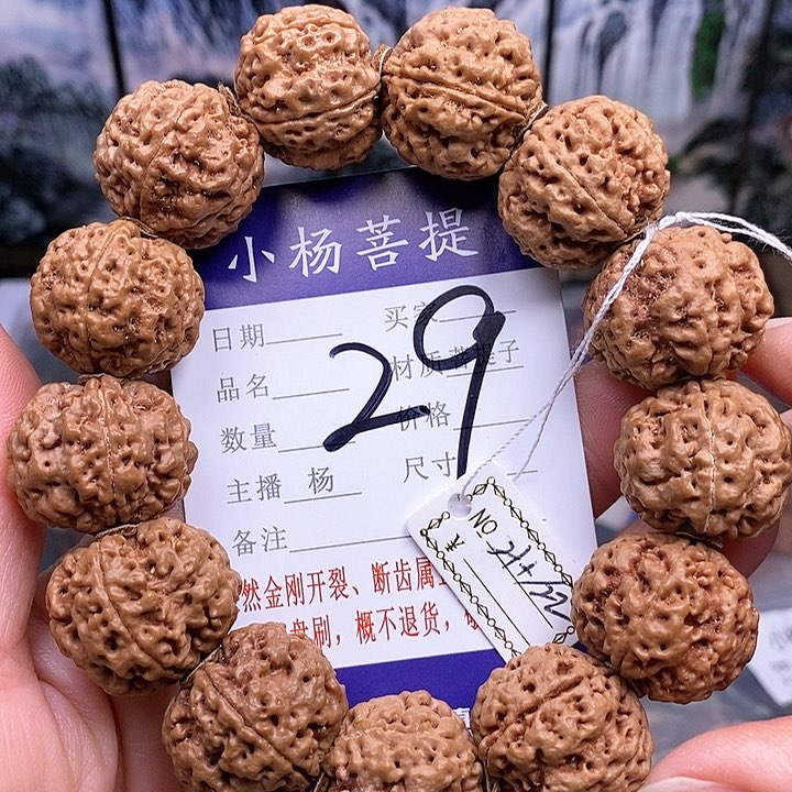 手串金刚菩提21.5/22安娜油籽