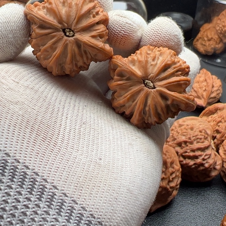 文玩核桃把件睡*着41全品磨盘