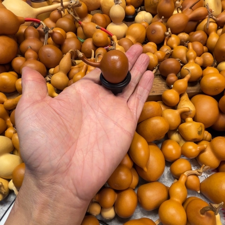 崔*铜崔崔玺彤的一把橡鼻子毒霸葫芦