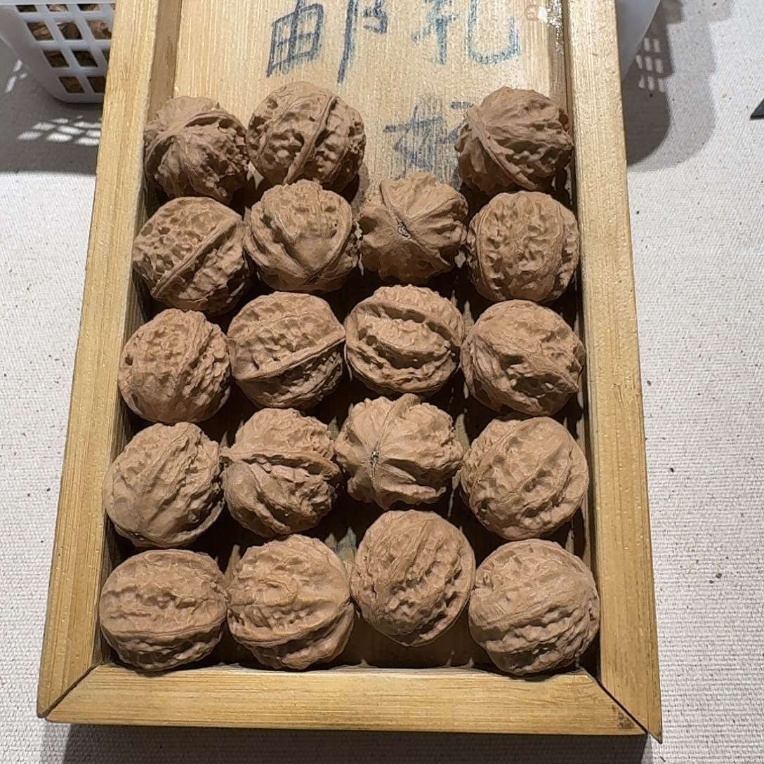 核桃手串/手链5号边23肚25高24