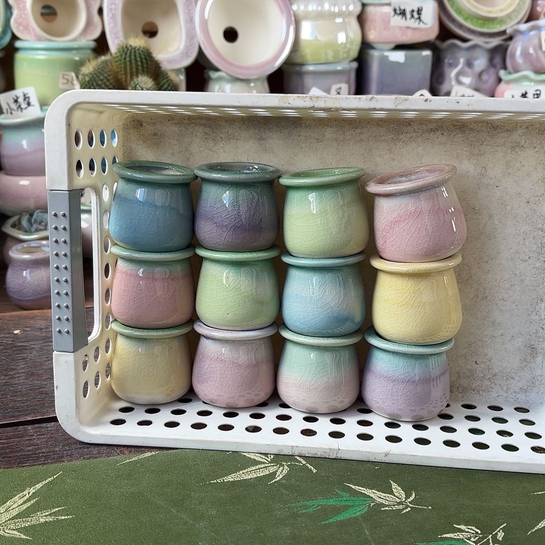 量货/3口4高深浅搭配发12