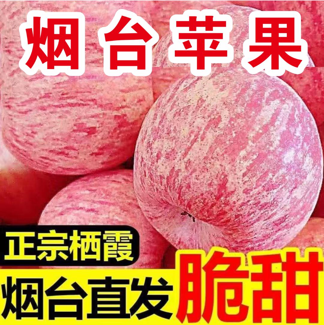 SH山东烟台红富士新鲜水果甜脆多汁皮薄肉厚汁水足产地直发