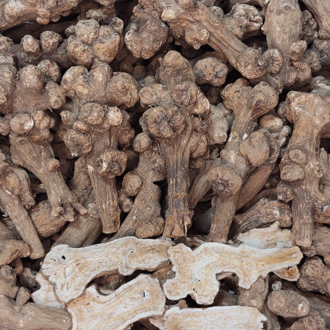 150克浙白术炒片包邮