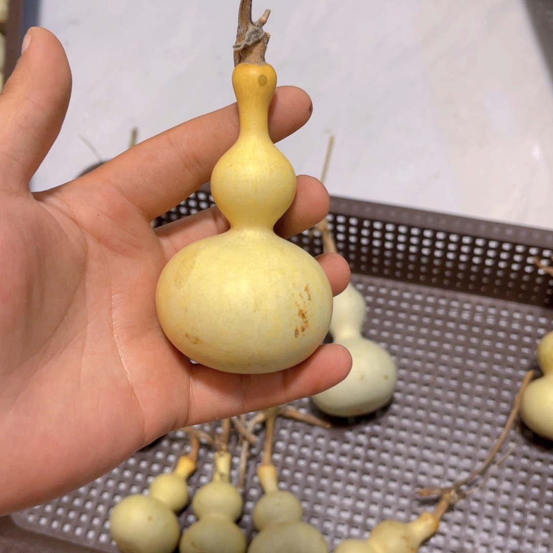 谁***浮感谢大哥支持兄弟，不保