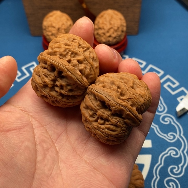 y***大叶紫檀（黑酸枝木类）