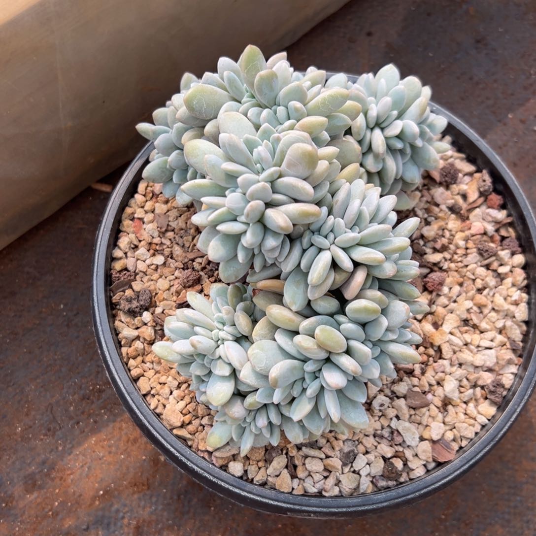 坏*坏坏00000000000000