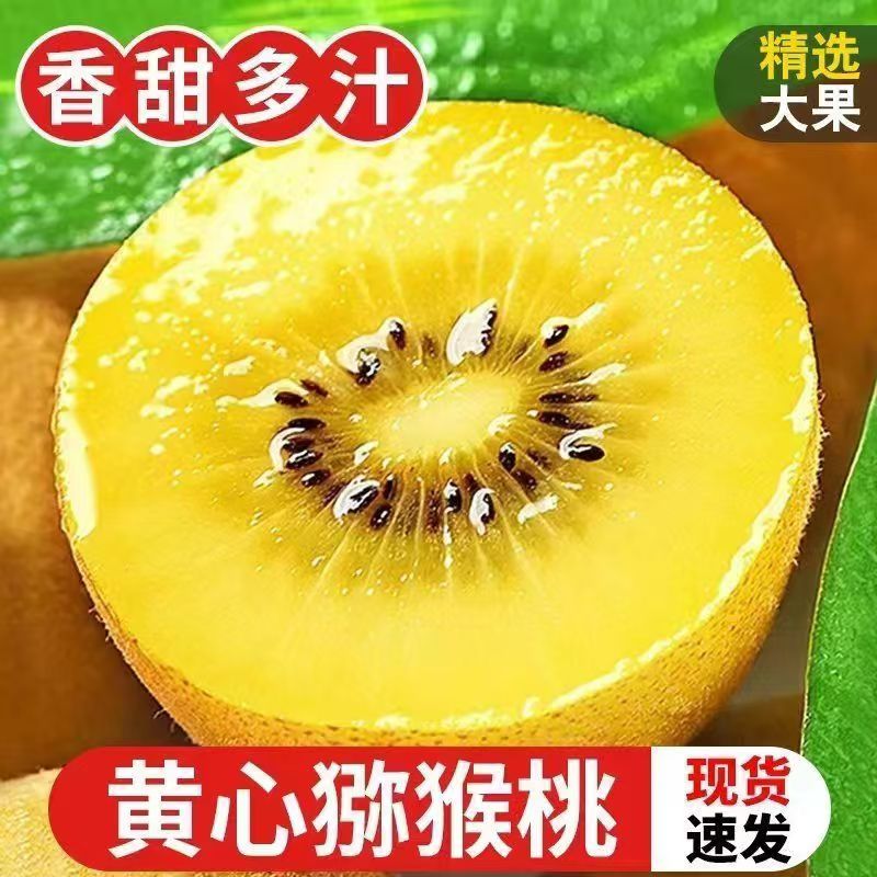 【精美彩箱】黄心猕猴桃奇异果新鲜水果应当季弥猴桃现摘批发大果