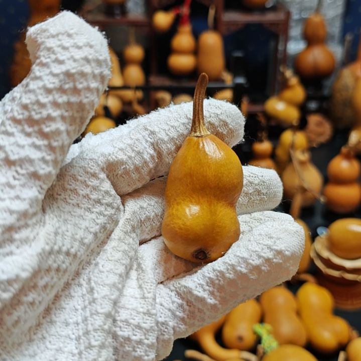 粲***笑直播间链接葫芦葫芦