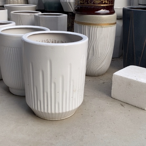 低腰白音符中 口26/34