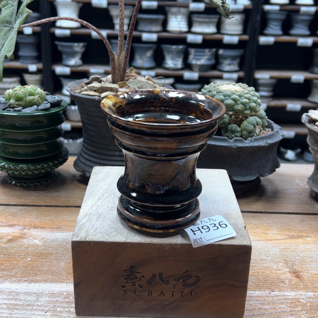 素八九陶瓷内口10高10.5