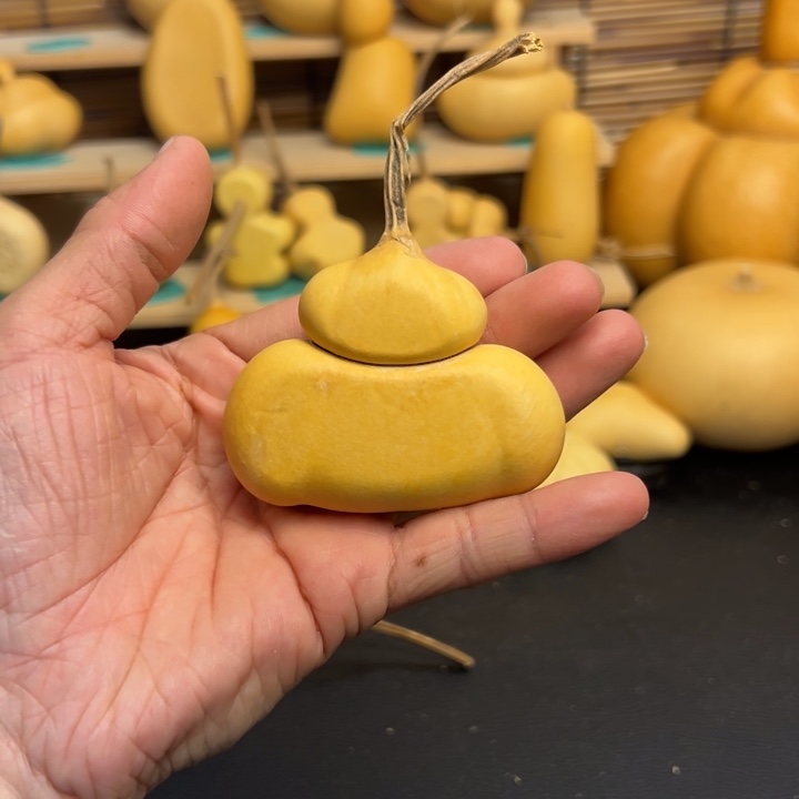 柠*树葫芦葫芦葫芦葫芦葫芦葫芦