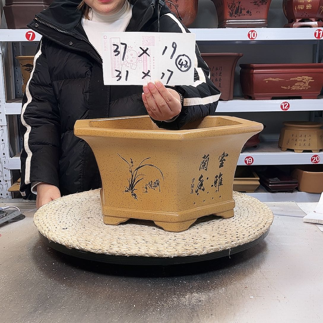 紫砂花盆紫砂花盆