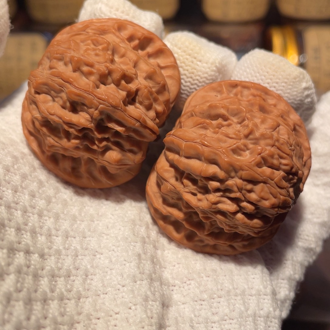 核桃43山地正磨mmm