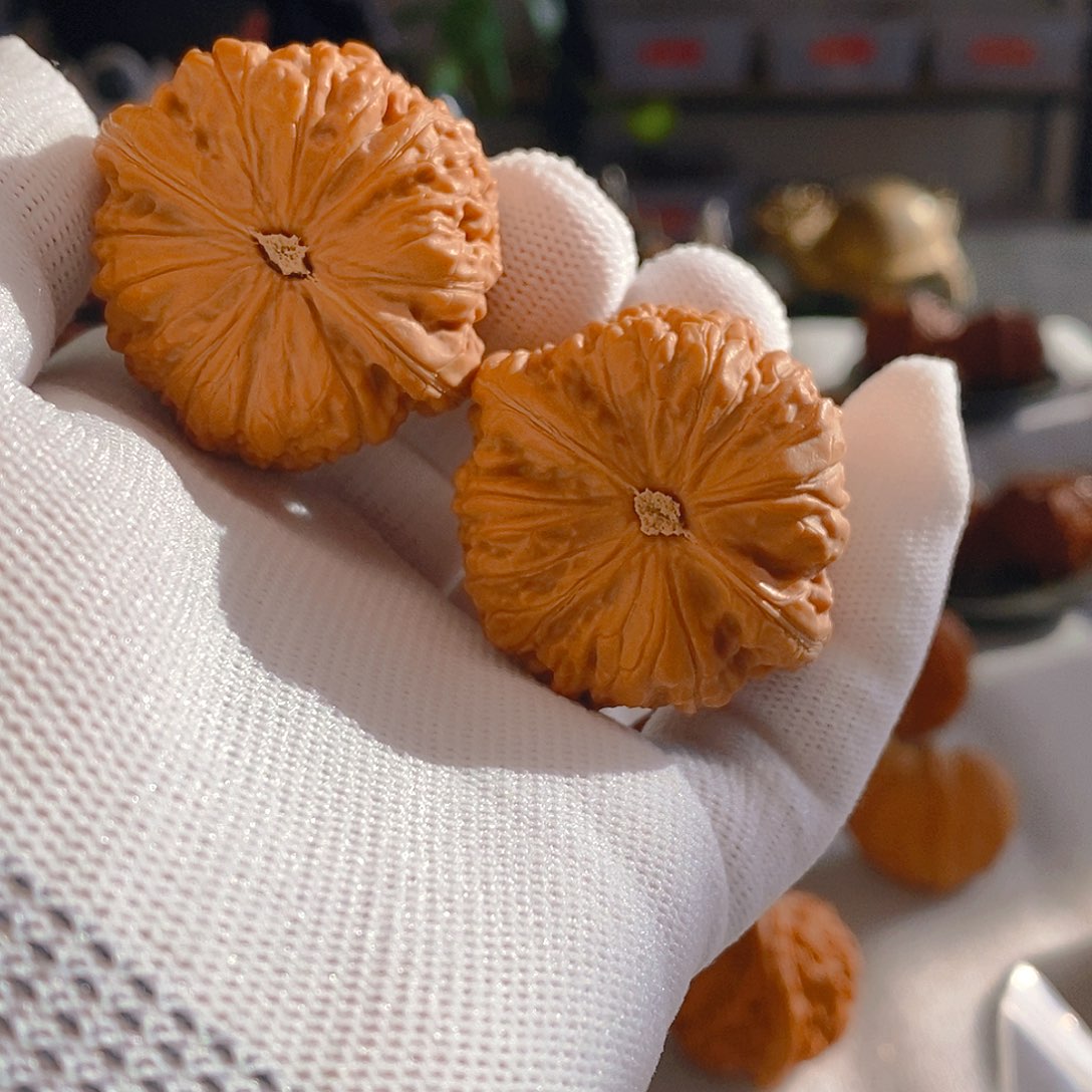 文玩核桃把件天花板金蝉子