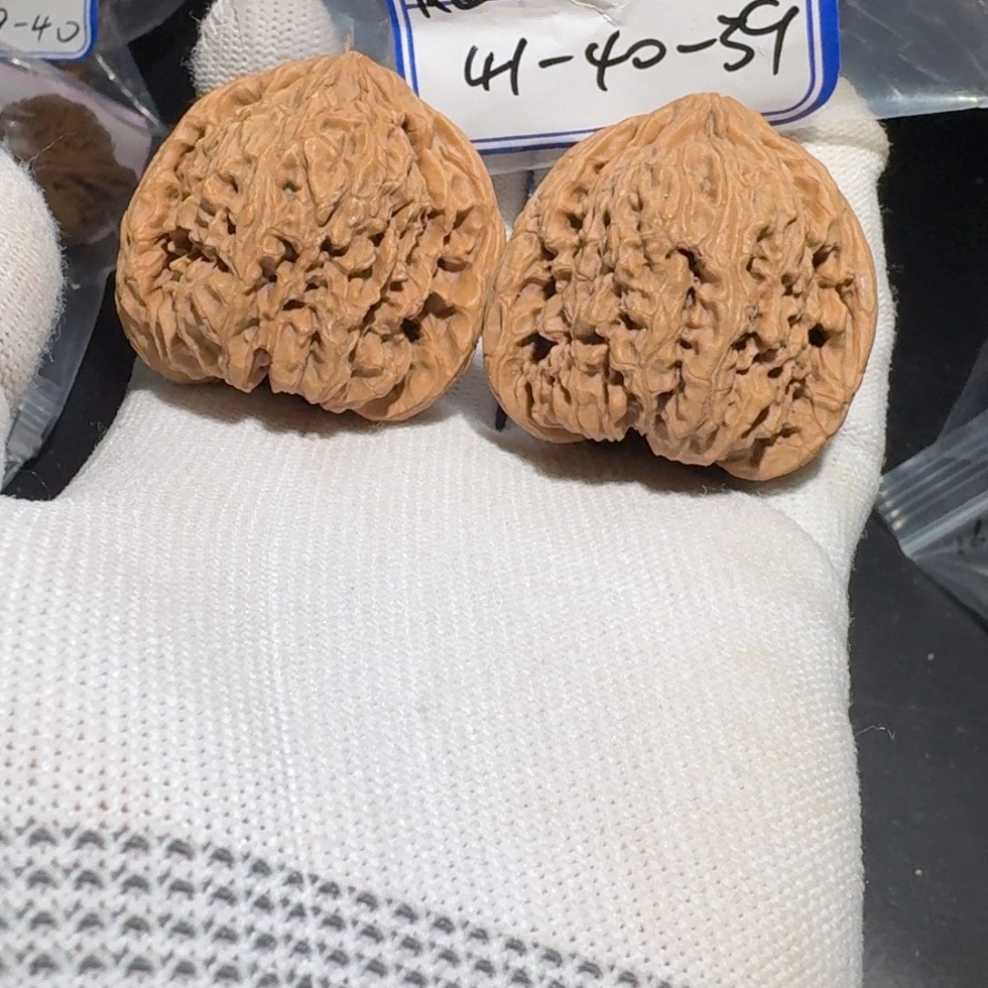 文玩核桃把件19号村将