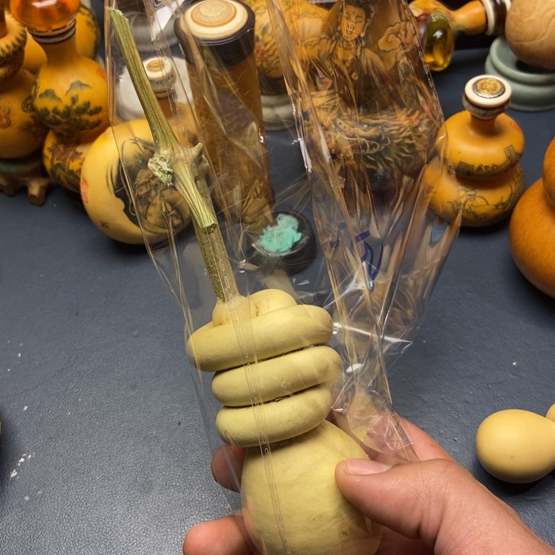 起***难有机玻璃精品品牌设计理念