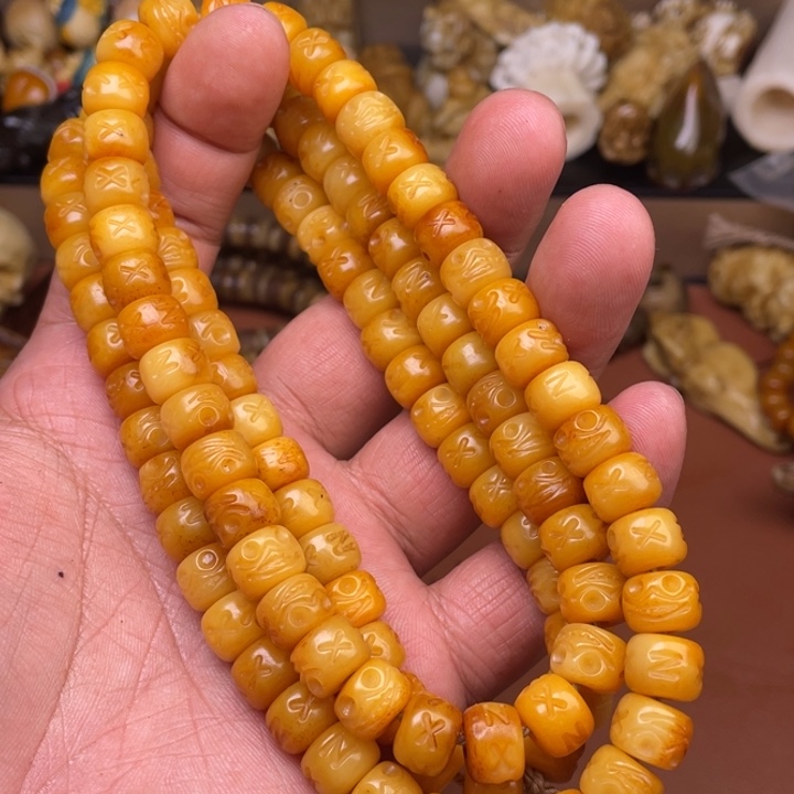 驼骨其他人工养殖