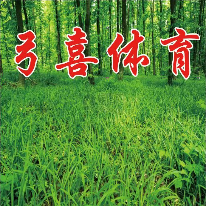 弓喜体育直播间专用链接