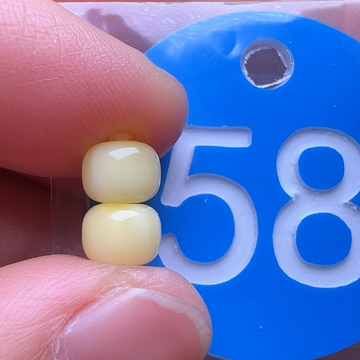 蜜蜡裸石未镶嵌6.3m m