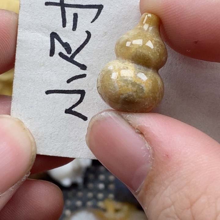 颈饰未镶嵌硅化珊瑚（珊瑚玉）没打孔