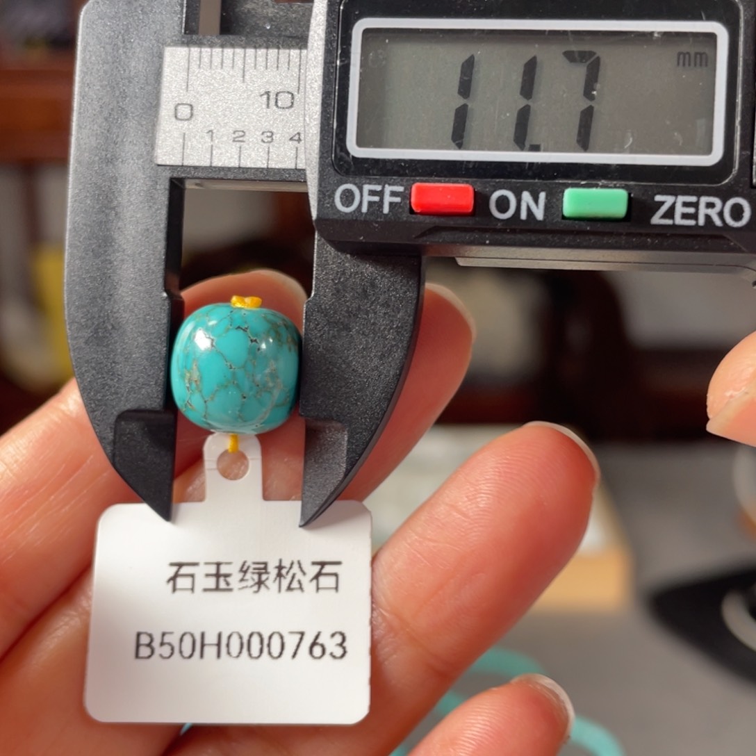 绿松石颈饰未镶嵌