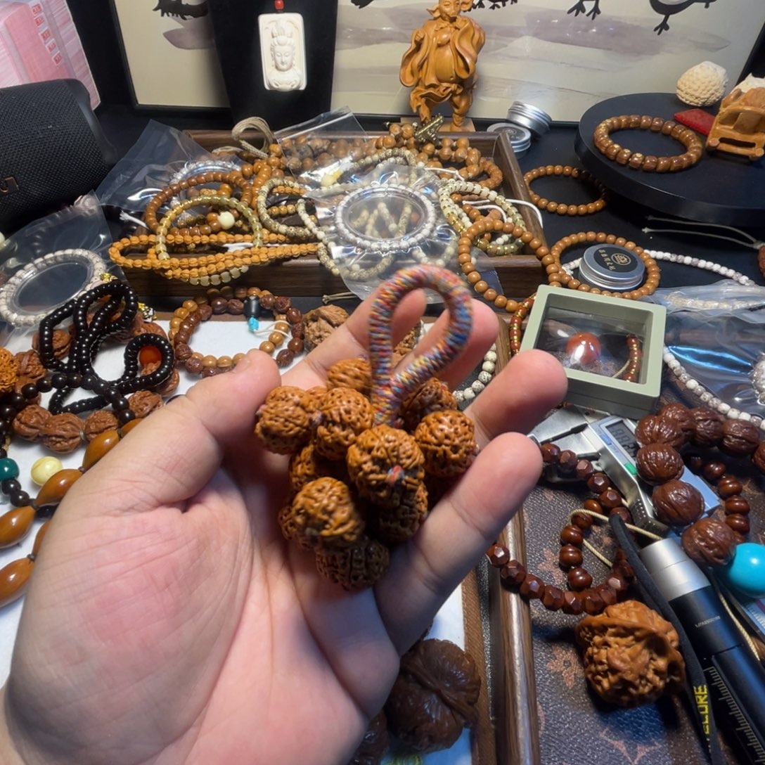 X***吊坠龙脊菩提aaaaaa