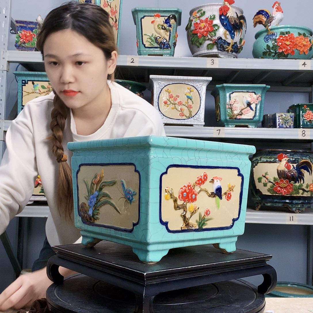 椿*实物拍摄湾盆石湾盆