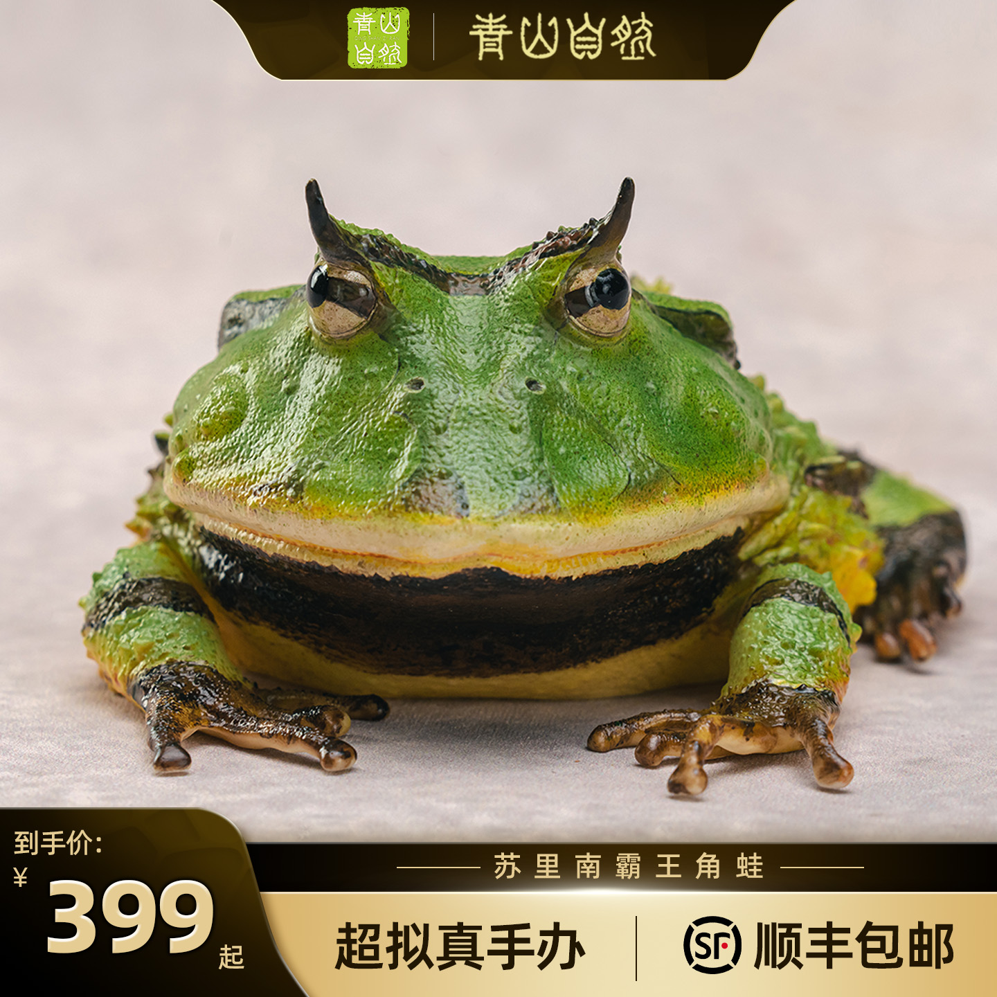 手办超拟真生物苏里南霸王角蛙自然教育研学道具科普青山自然计划